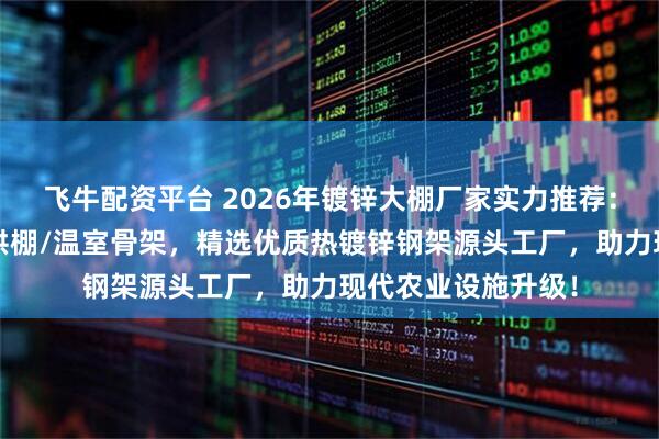 飞牛配资平台 2026年镀锌大棚厂家实力推荐：防锈耐用型/连栋拱棚/温室骨架，精选优质热镀锌钢架源头工厂，助力现代农业设施升级！