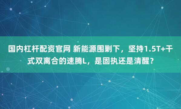 国内杠杆配资官网 新能源围剿下，坚持1.5T+干式双离合的速腾L，是固执还是清醒？