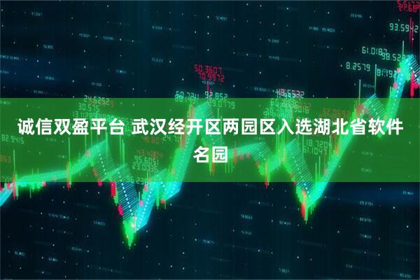 诚信双盈平台 武汉经开区两园区入选湖北省软件名园
